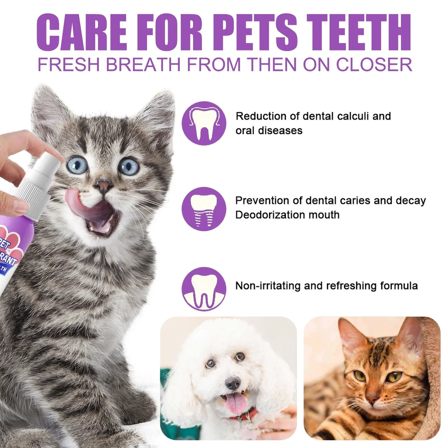 Petry® Teeth Cleaning Spray for Dogs & Cats, Eliminate Bad Breath, Targets Tartar & Plaque, Without Brushing