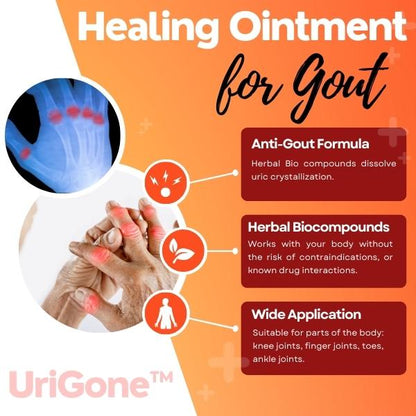 （🎉Free Shipping Today Only🎉）Sumifun™ Healing Ointment for Gout